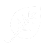 DDOS攻击